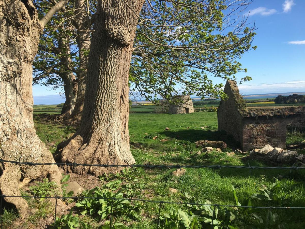 Buckton Farmhouse Белфорд Экстерьер фото